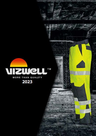 Vizwell more than quality 2023 Cover